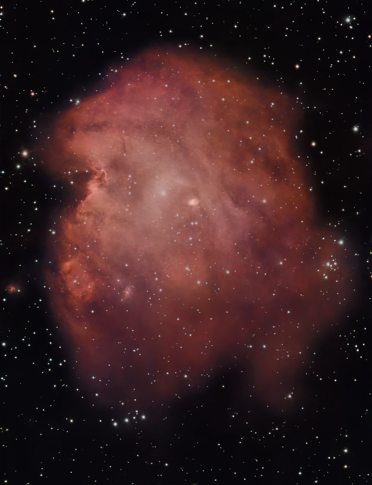 Monkey Head Nebula